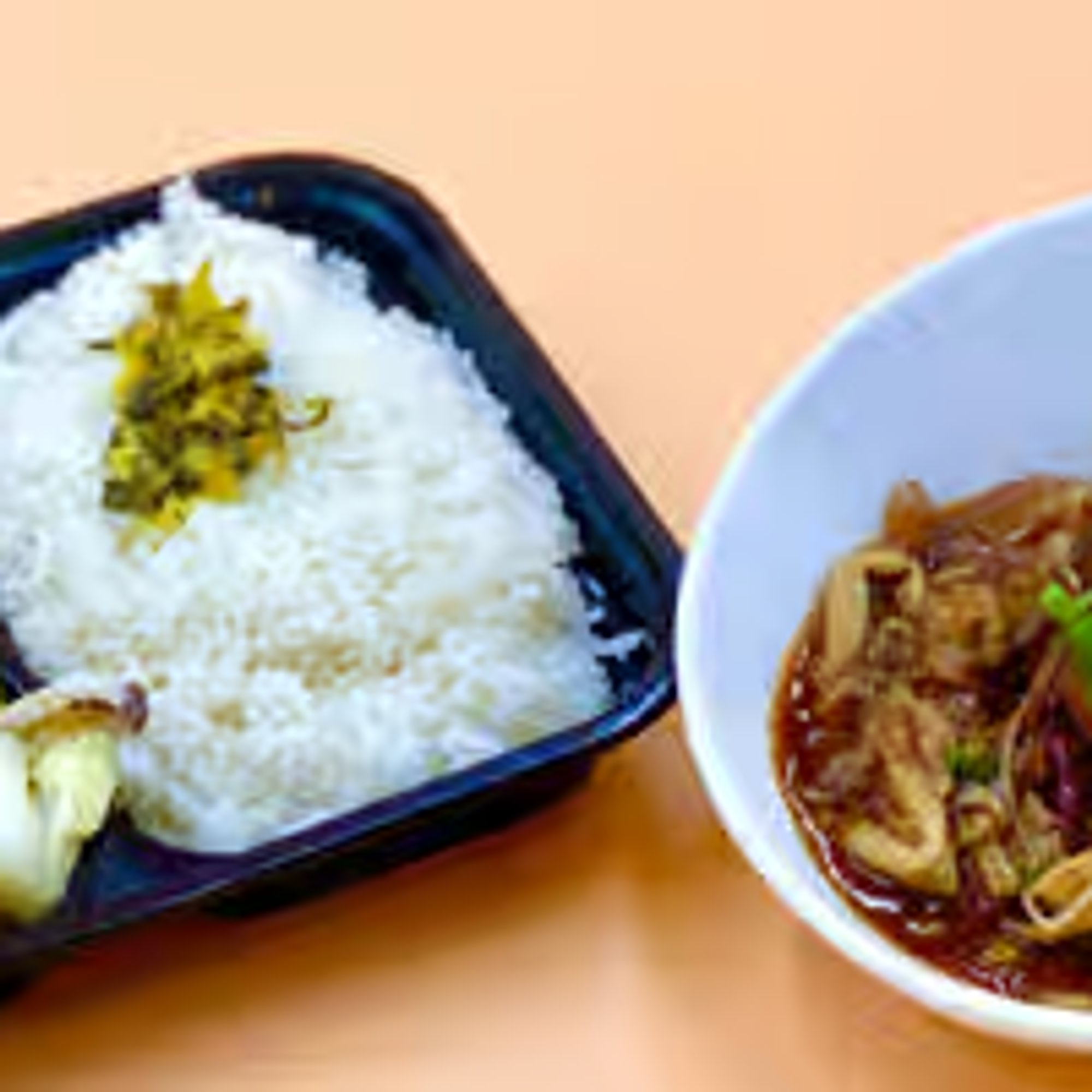 Braised Pork Belly Bento 控肉便當