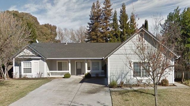 Joe Shaw Painting Image