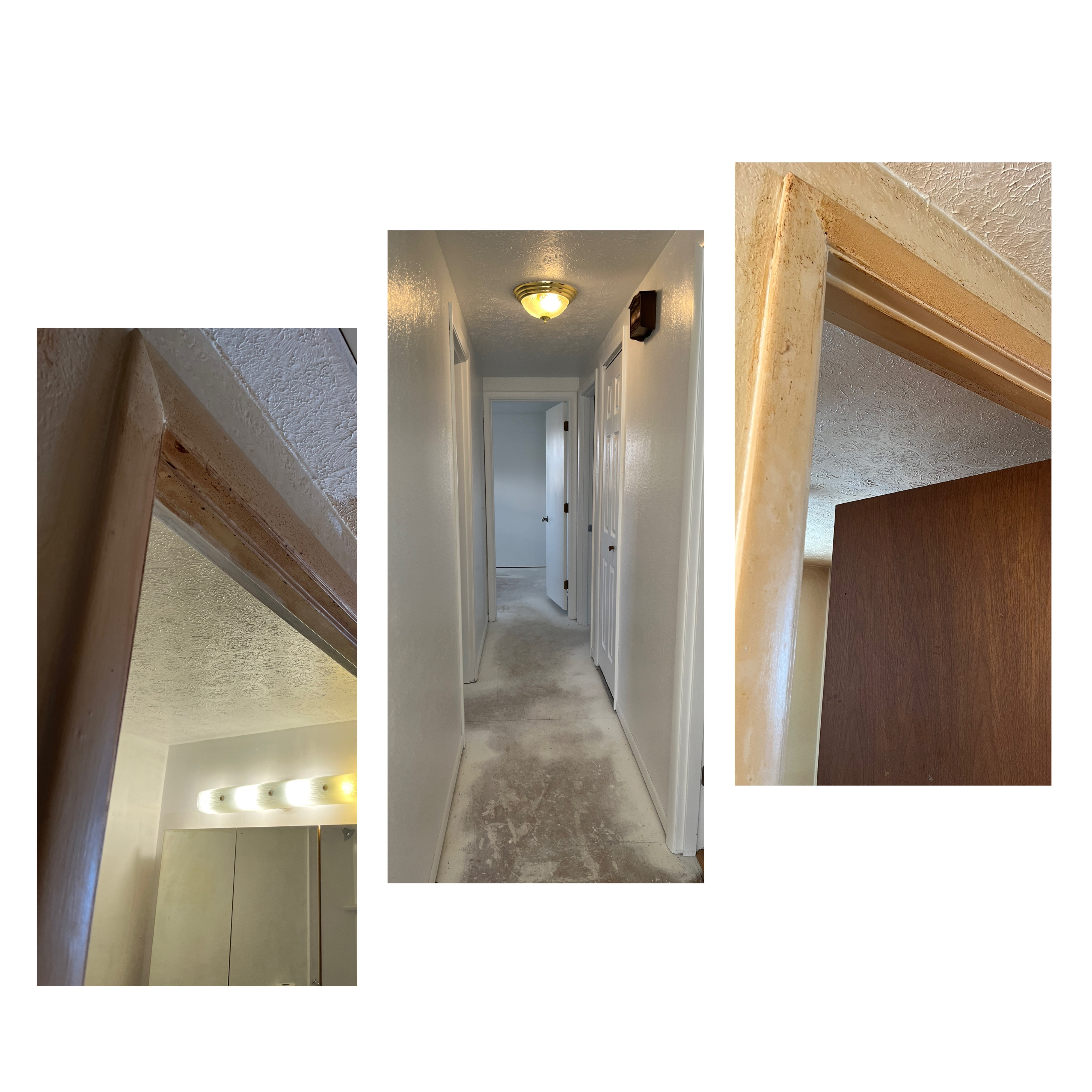 Beyond The Paint Pro LLC Image