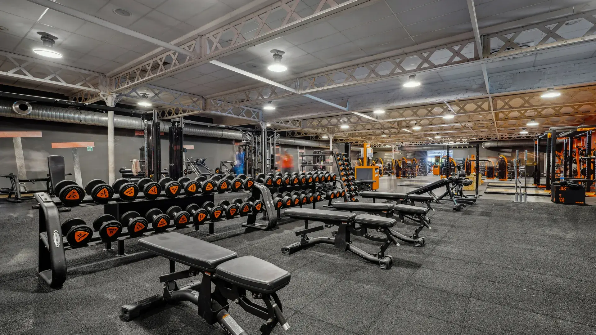 Miniature de la galerie