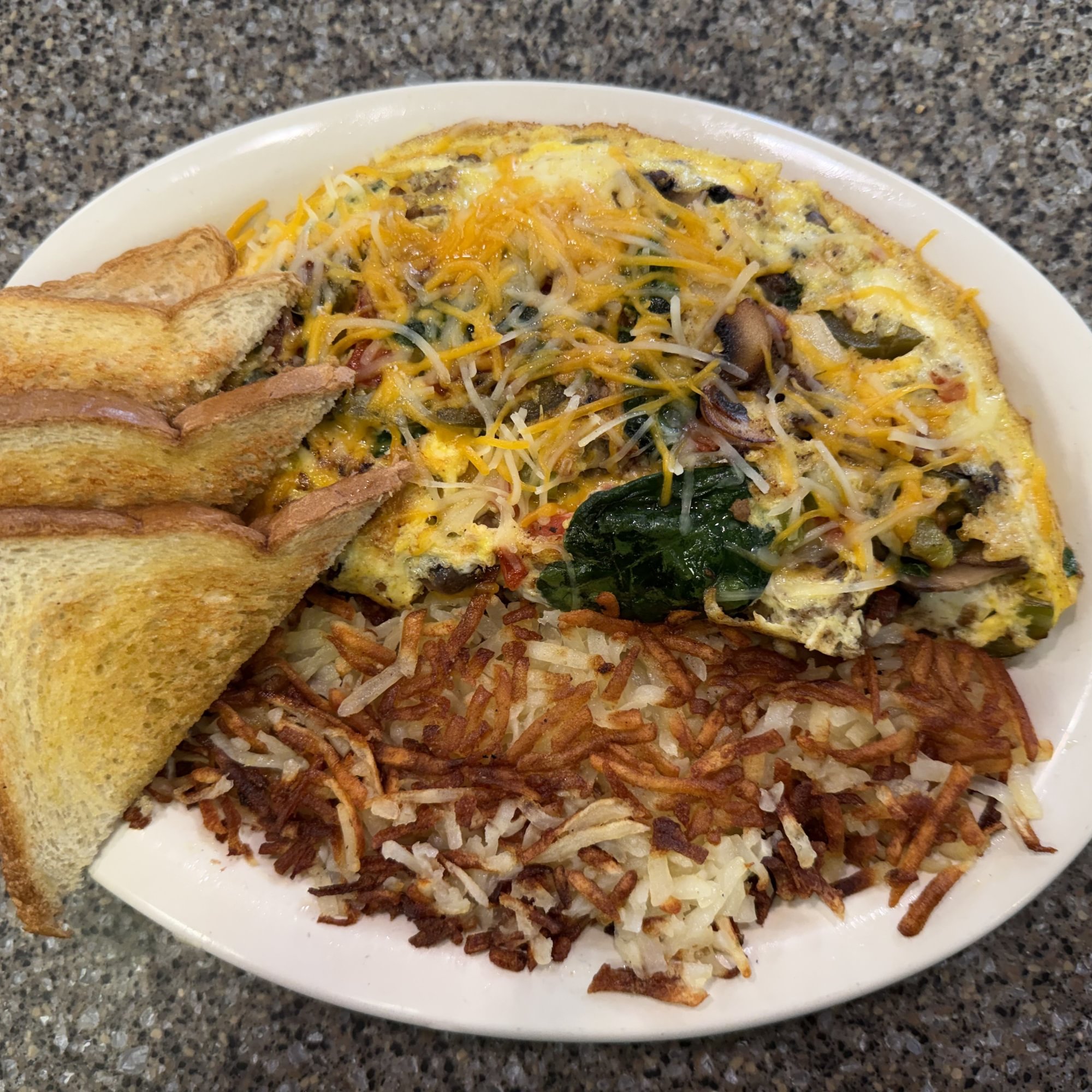 Big Dog Omelette