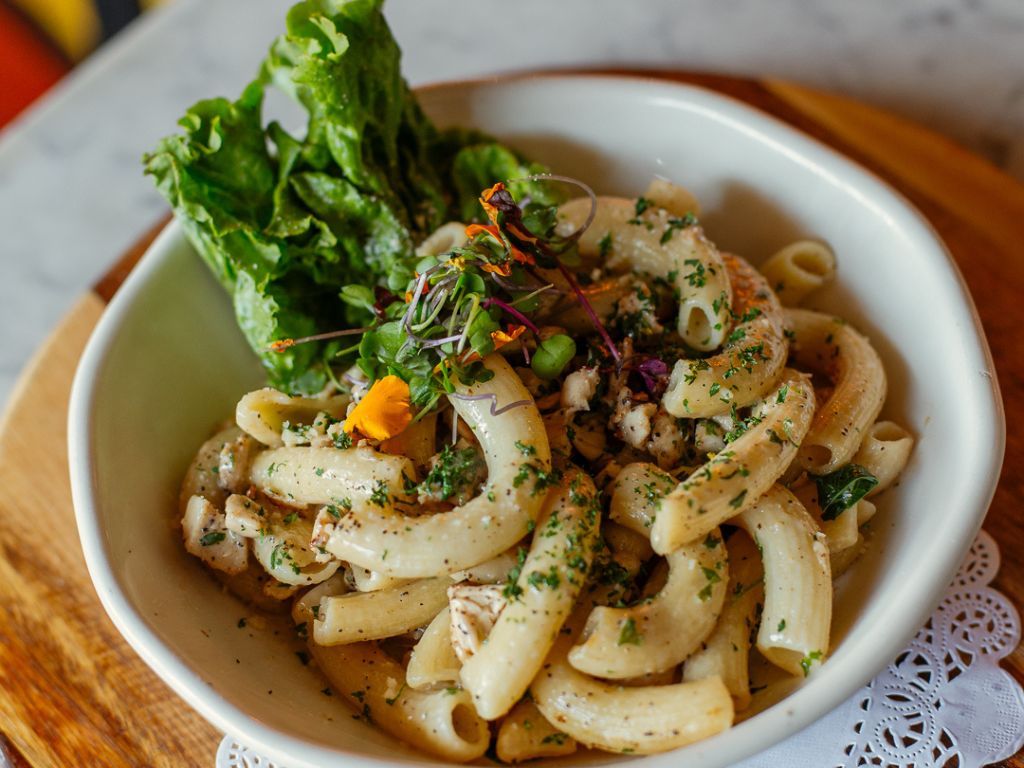 Chicken Alfredo