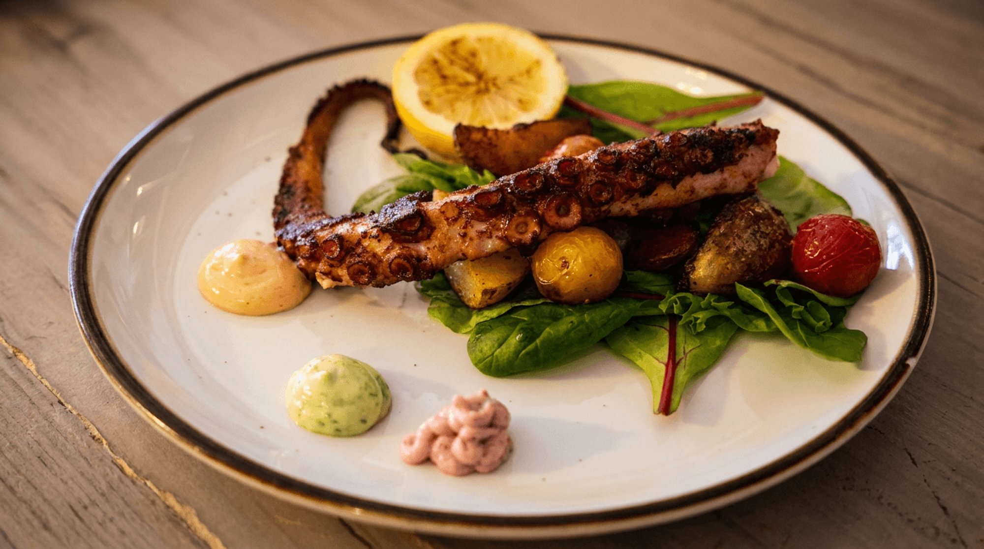 Grilled Octopus