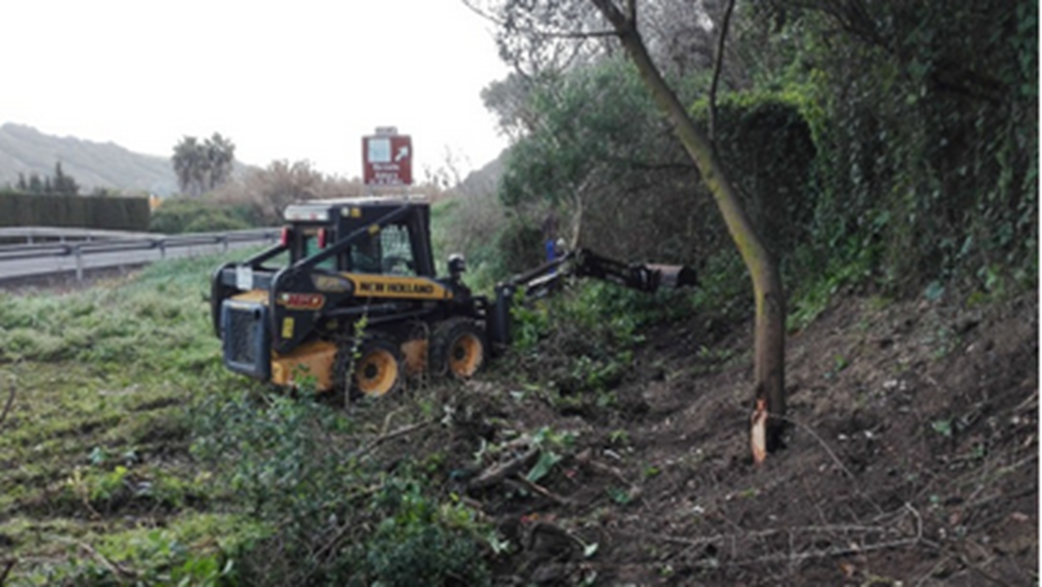 Galería en miniatura