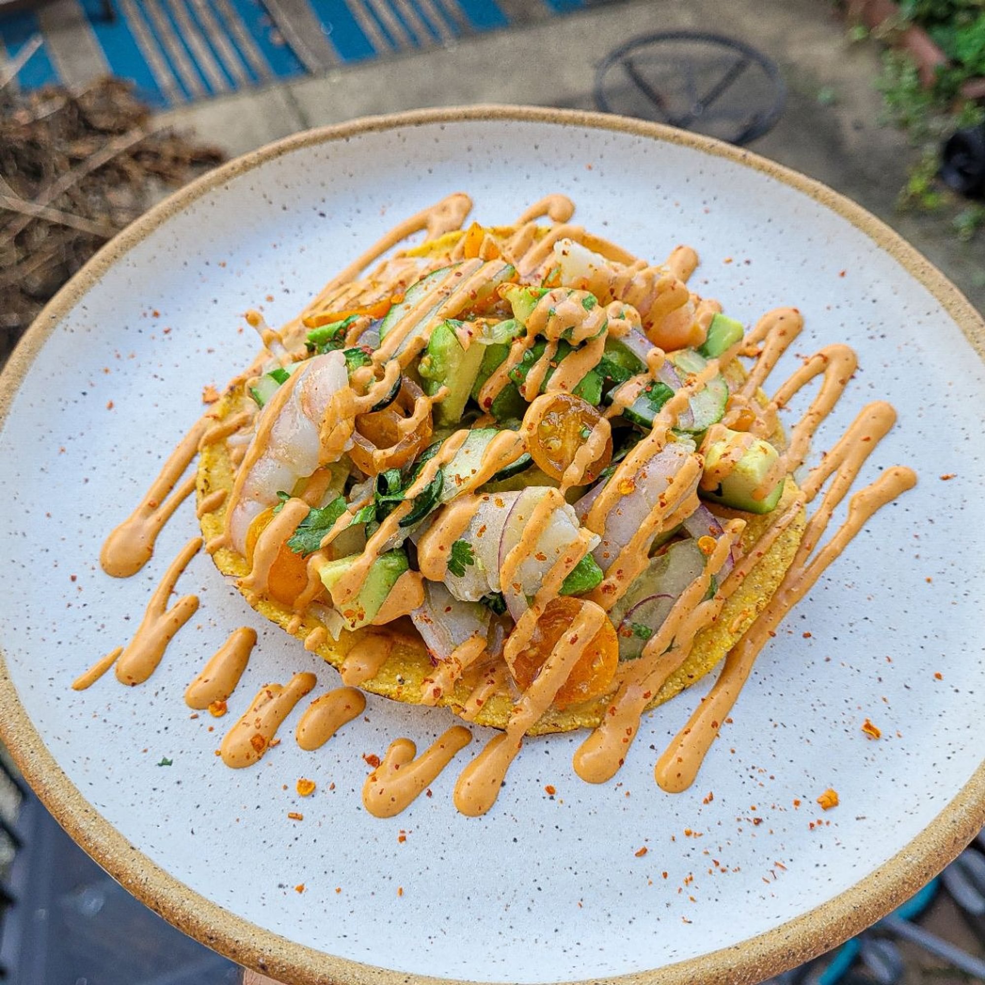 Shrimp Tostada