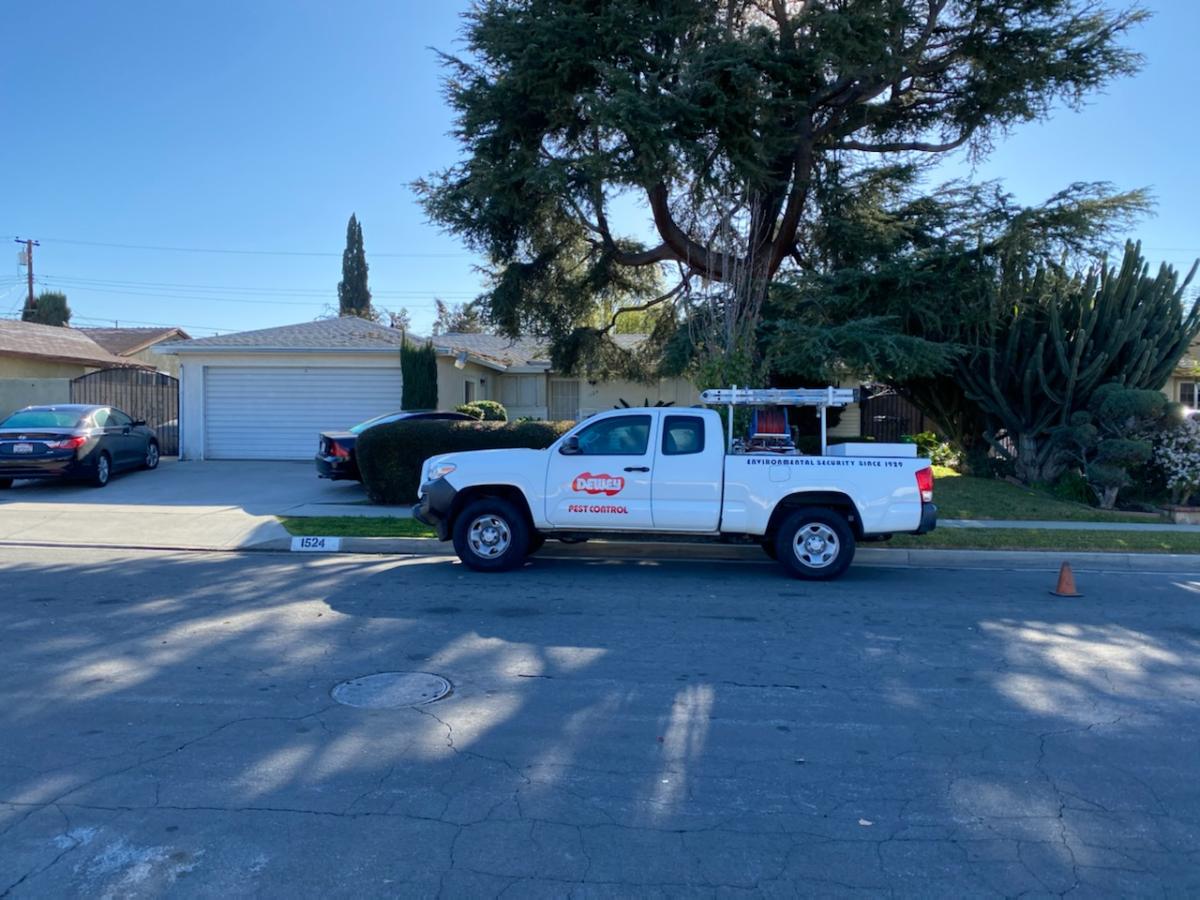 Dewey Pest & Termite Control Image