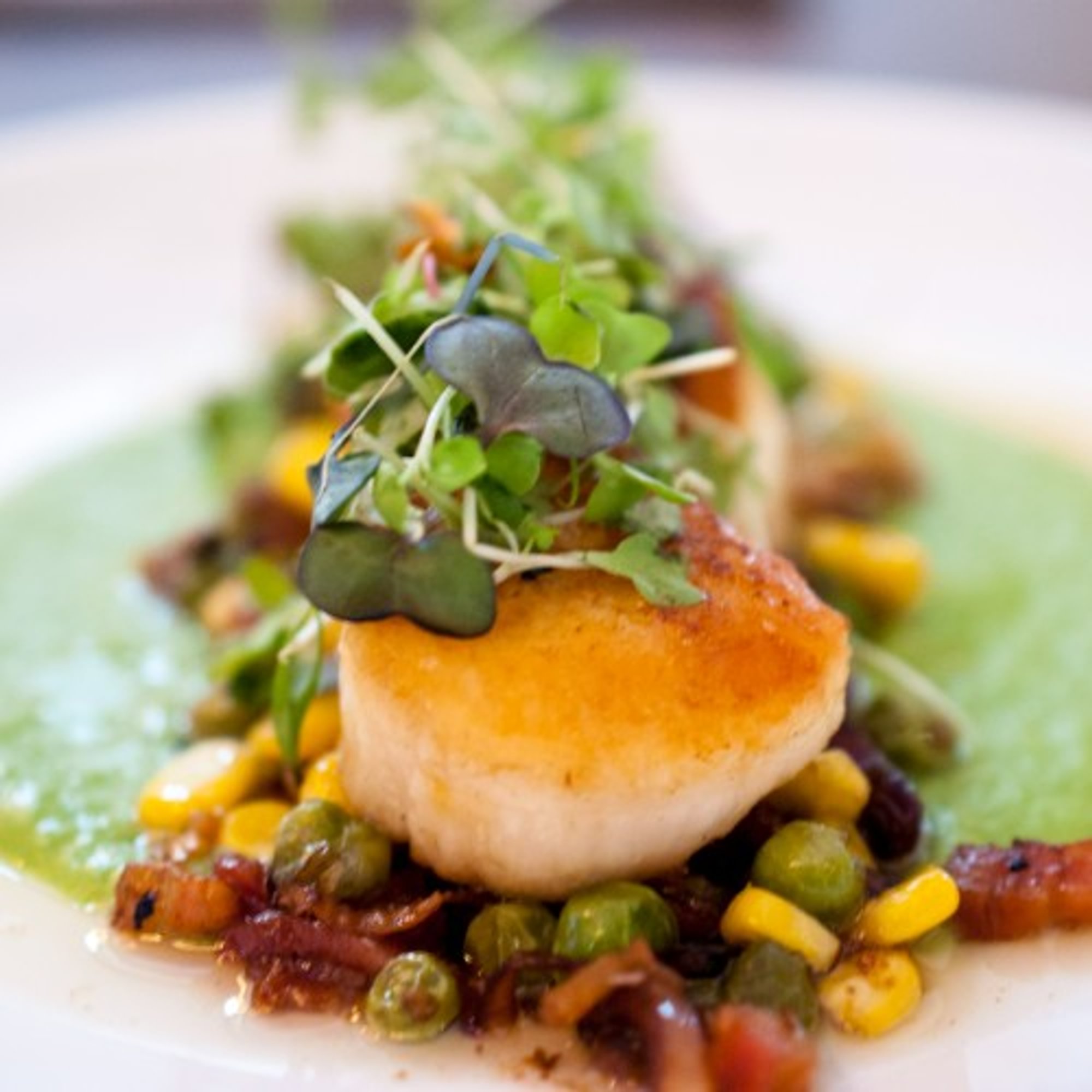 Scallops