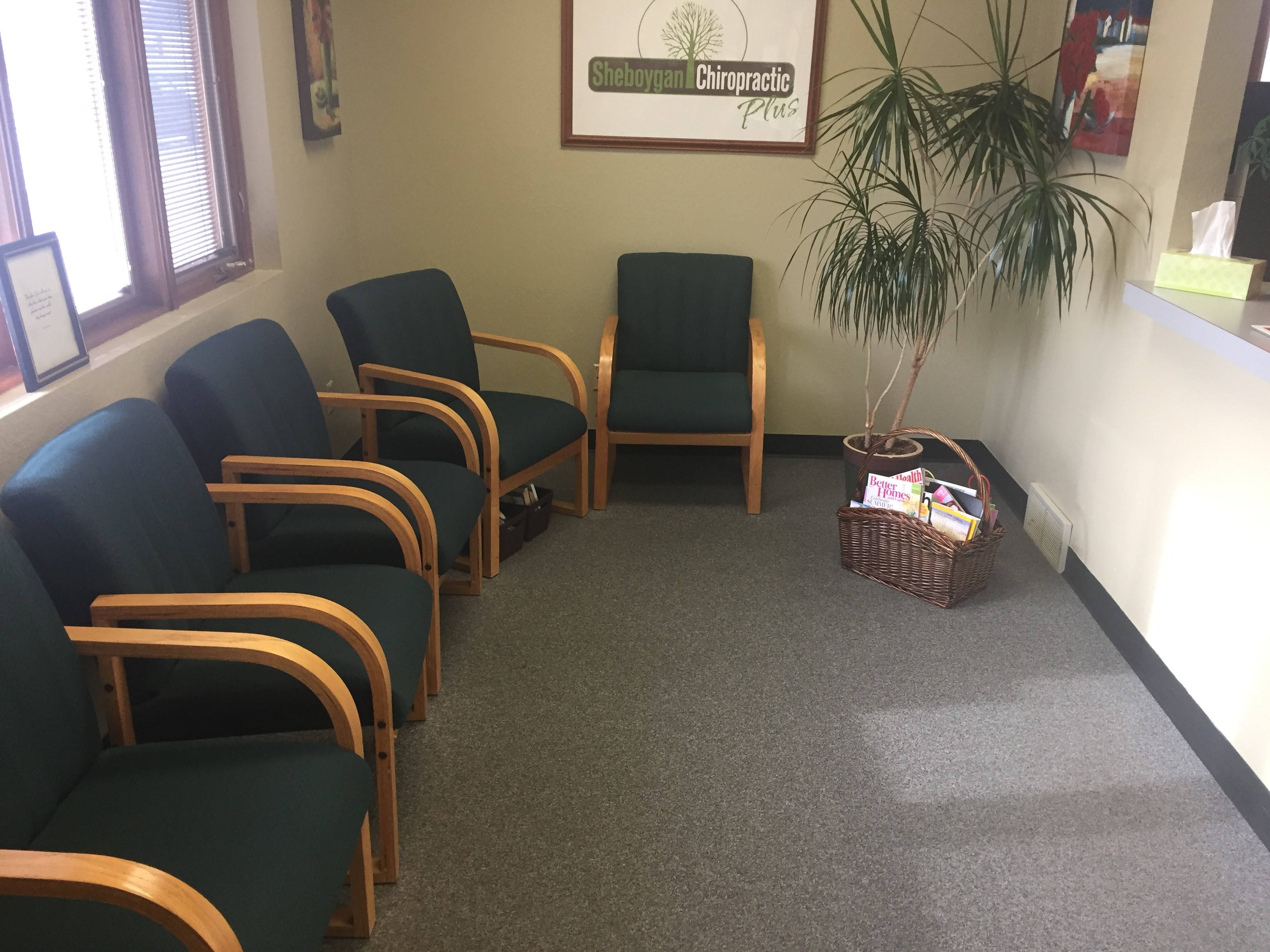 Sheboygan Chiropractic Plus Photo