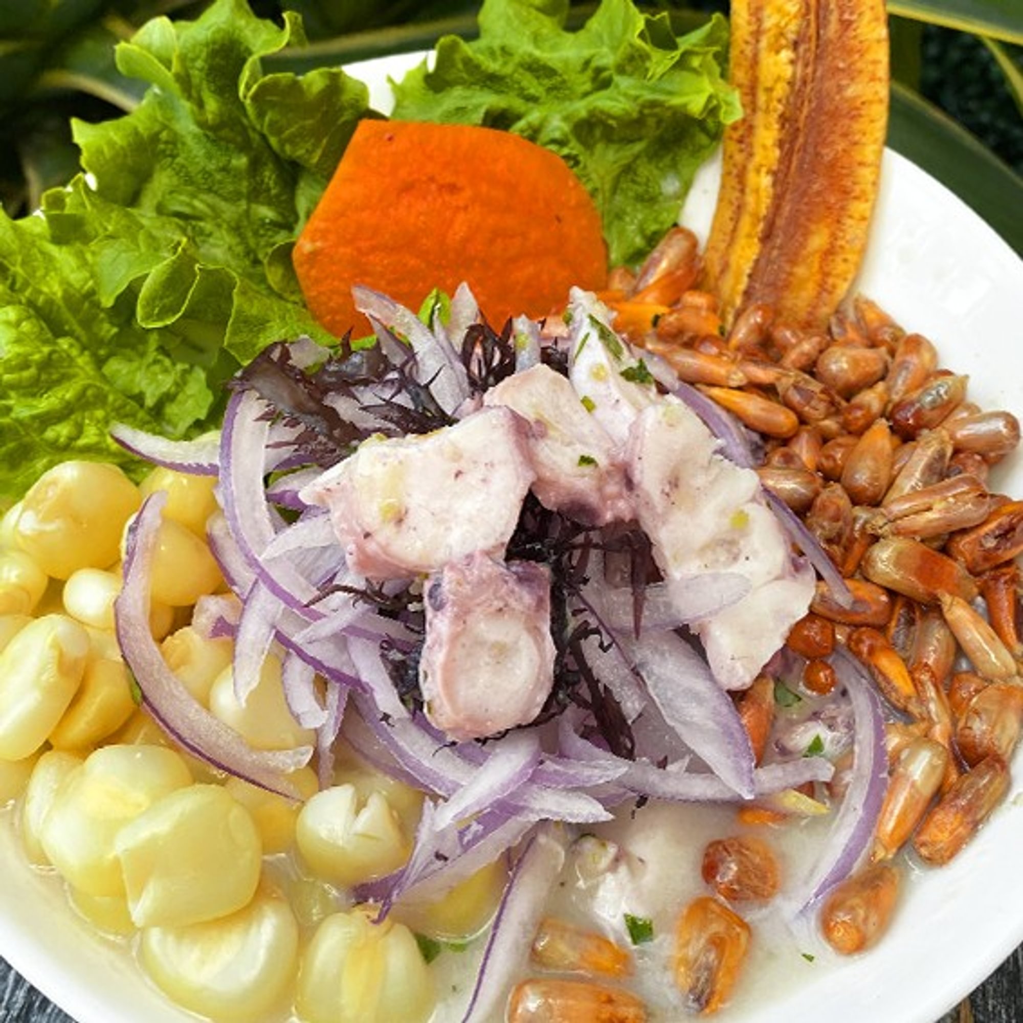 Ceviche de Pulpo / Octopus