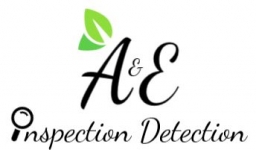 A&E Inspection Detection
