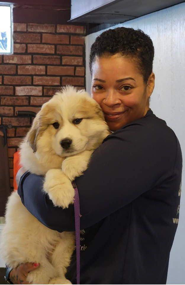 Underdog K-9 Academy LLC Image