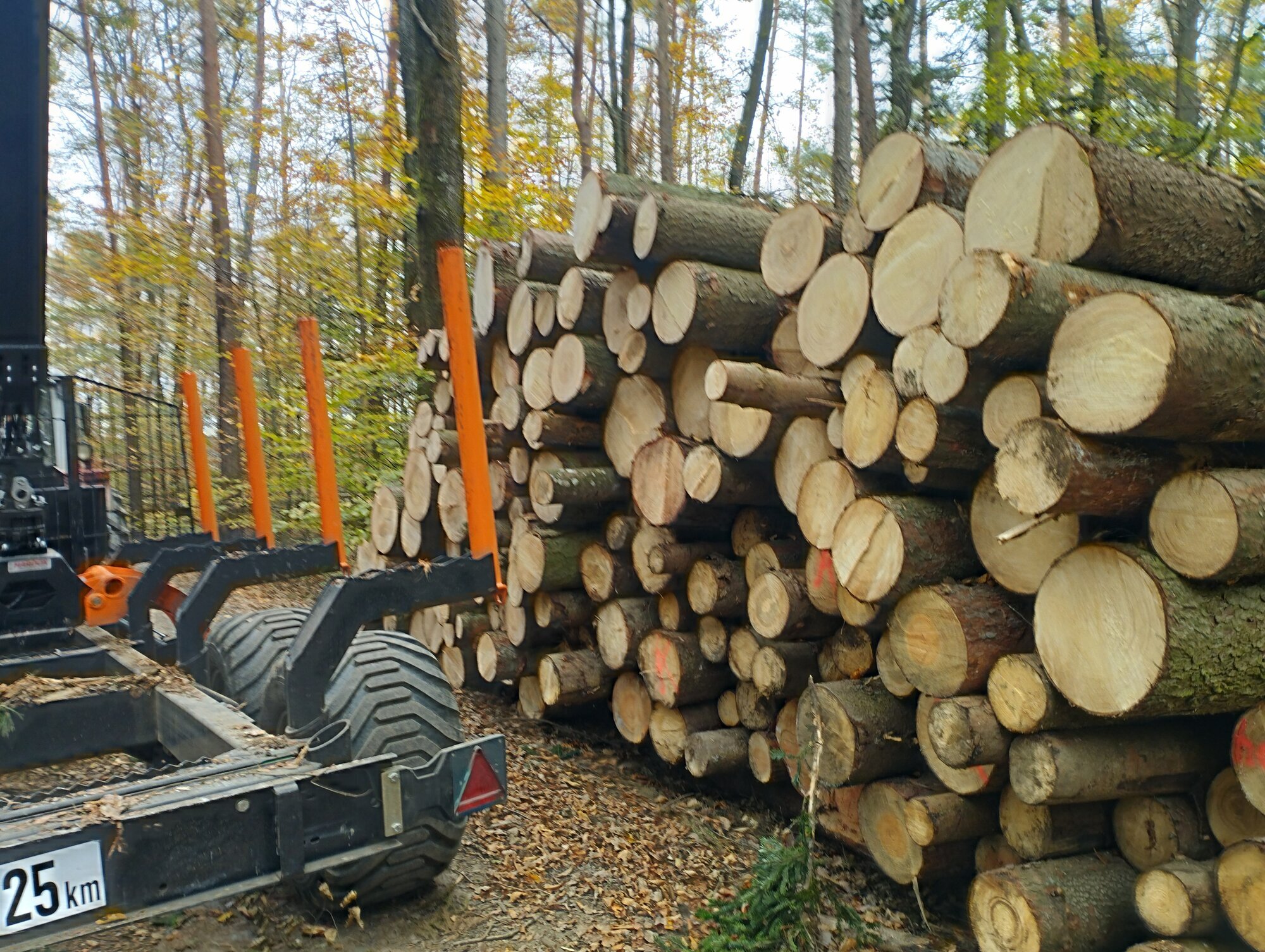Bild der Schreiner Holzhandel