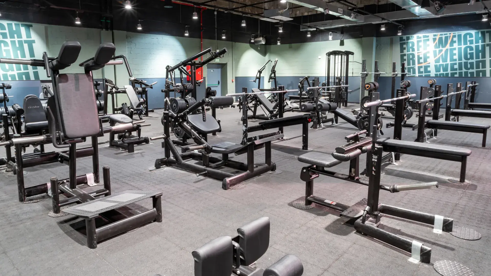 Galería de imágenes