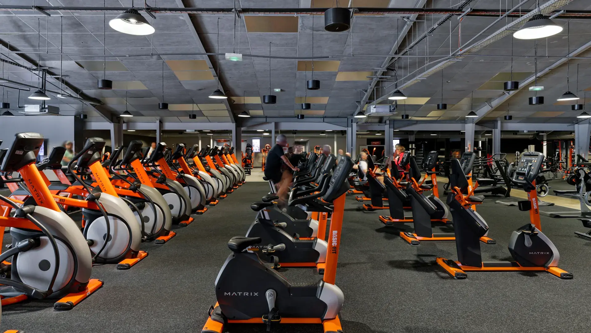 Miniature de la galerie