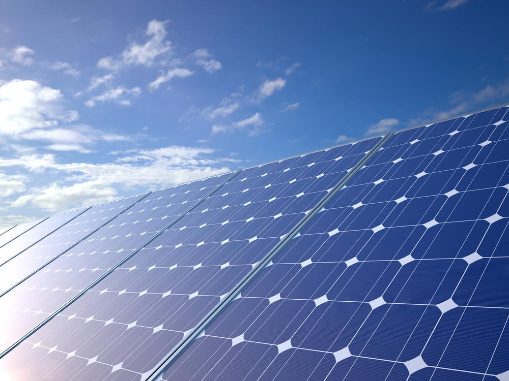 Solar Bear Electric Inc Logo