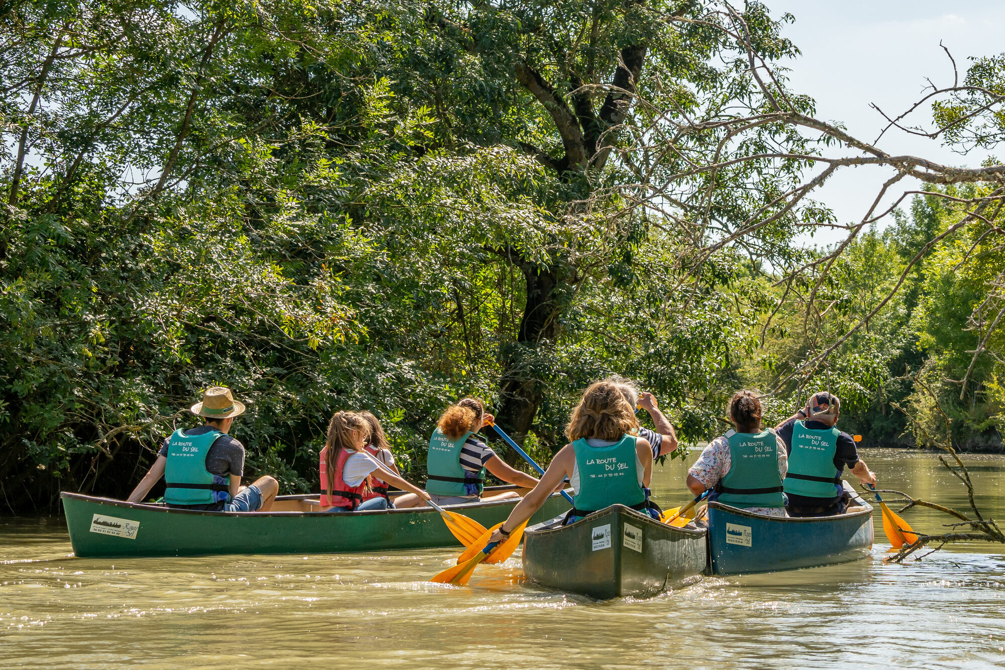 Miniature de la galerie