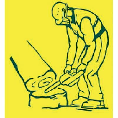 Logo von Baumpflege - S. Kaufhold