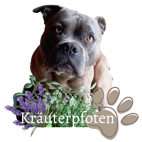 Logo von Kräuterpfoten