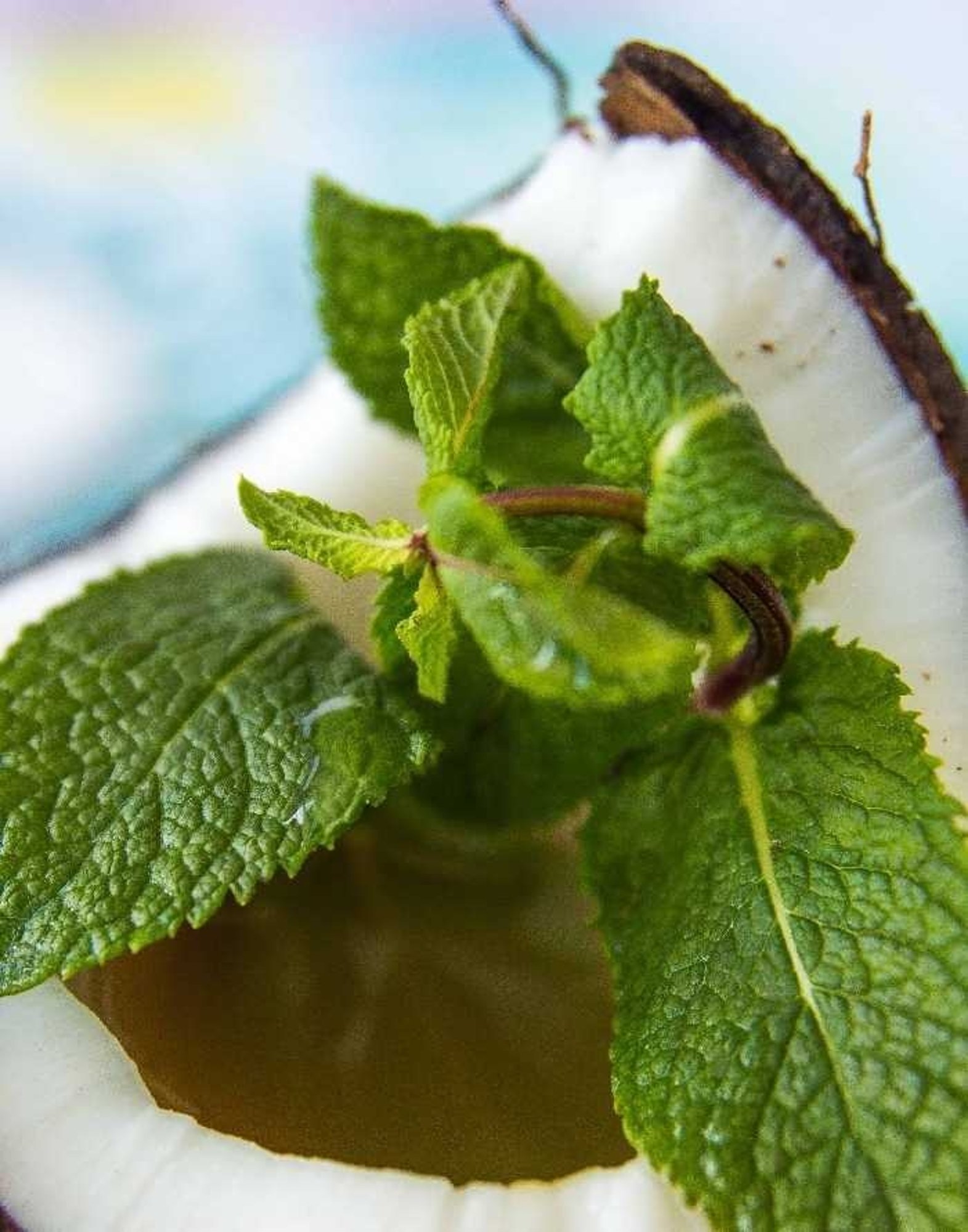 Coconut Mint Tea