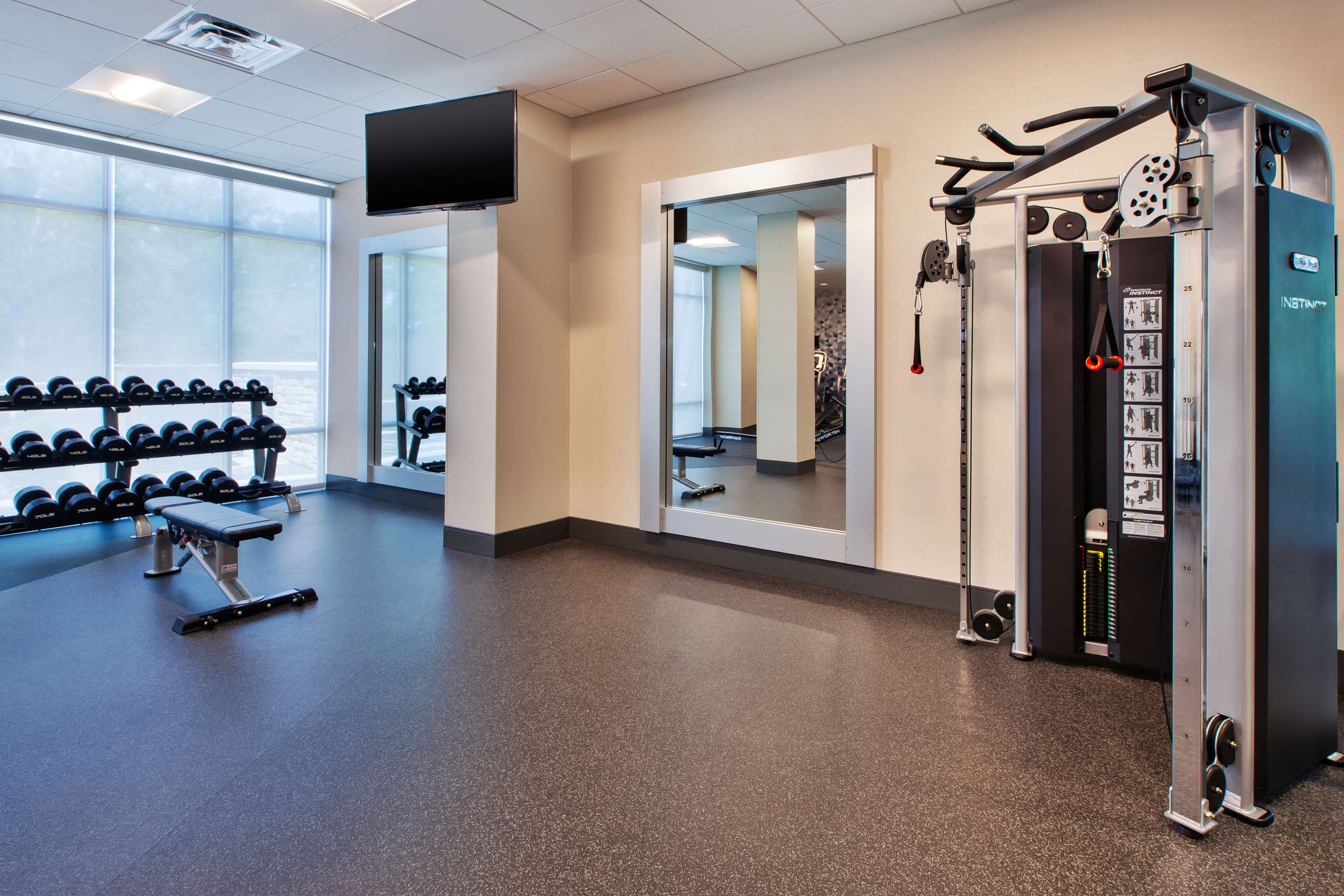 Health club  fitness center  gym