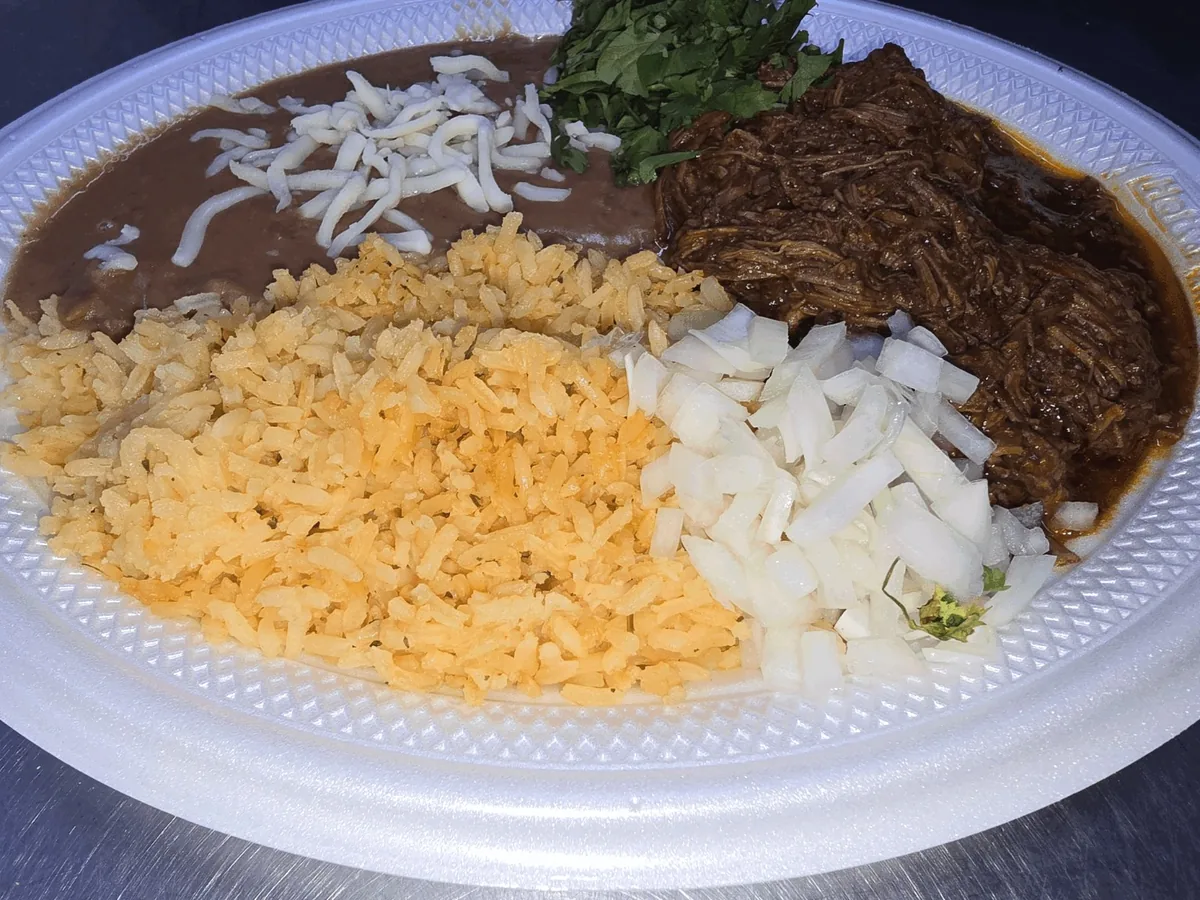 Birria plate