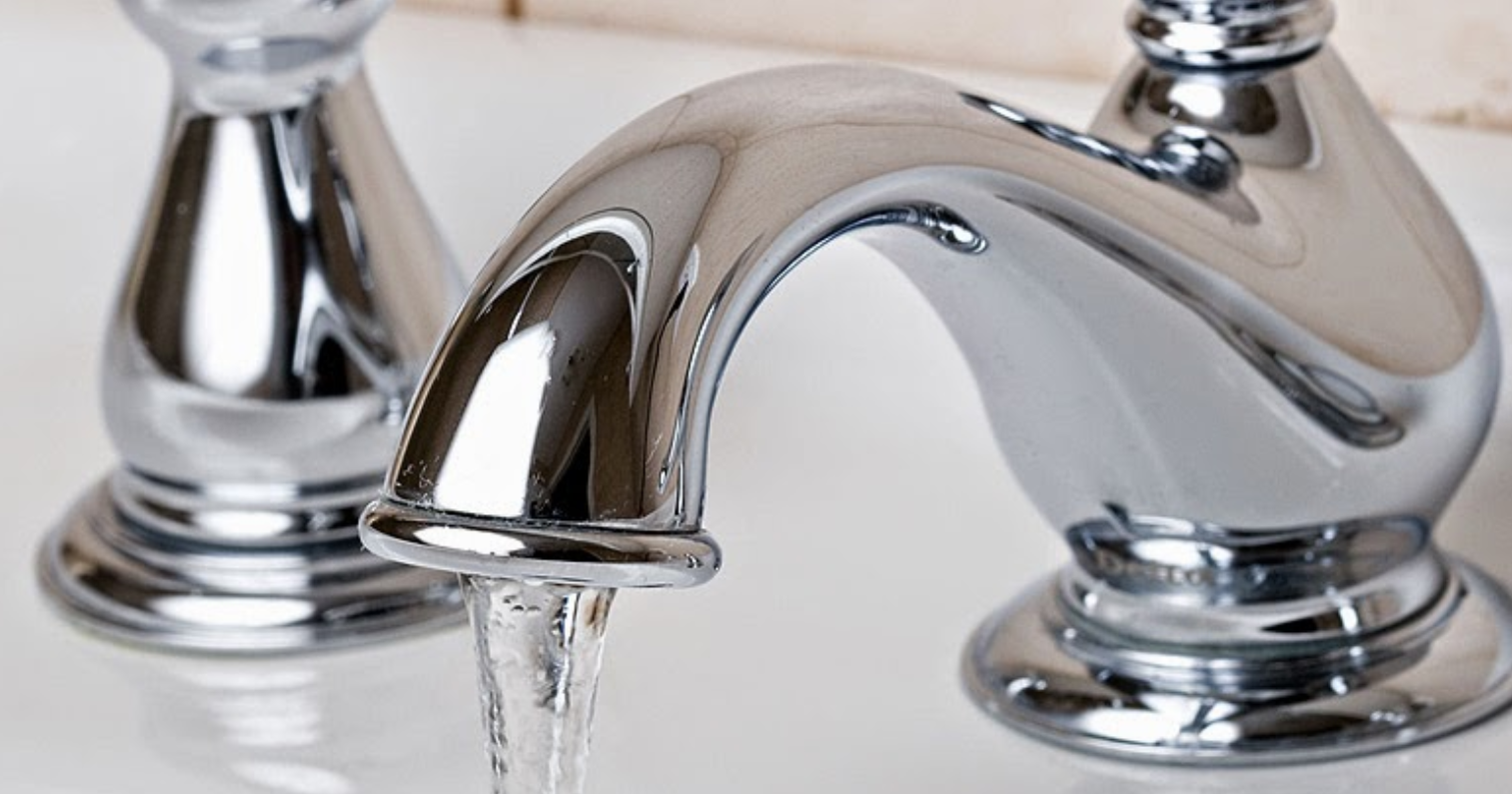 Royal Rooter, LLC Image