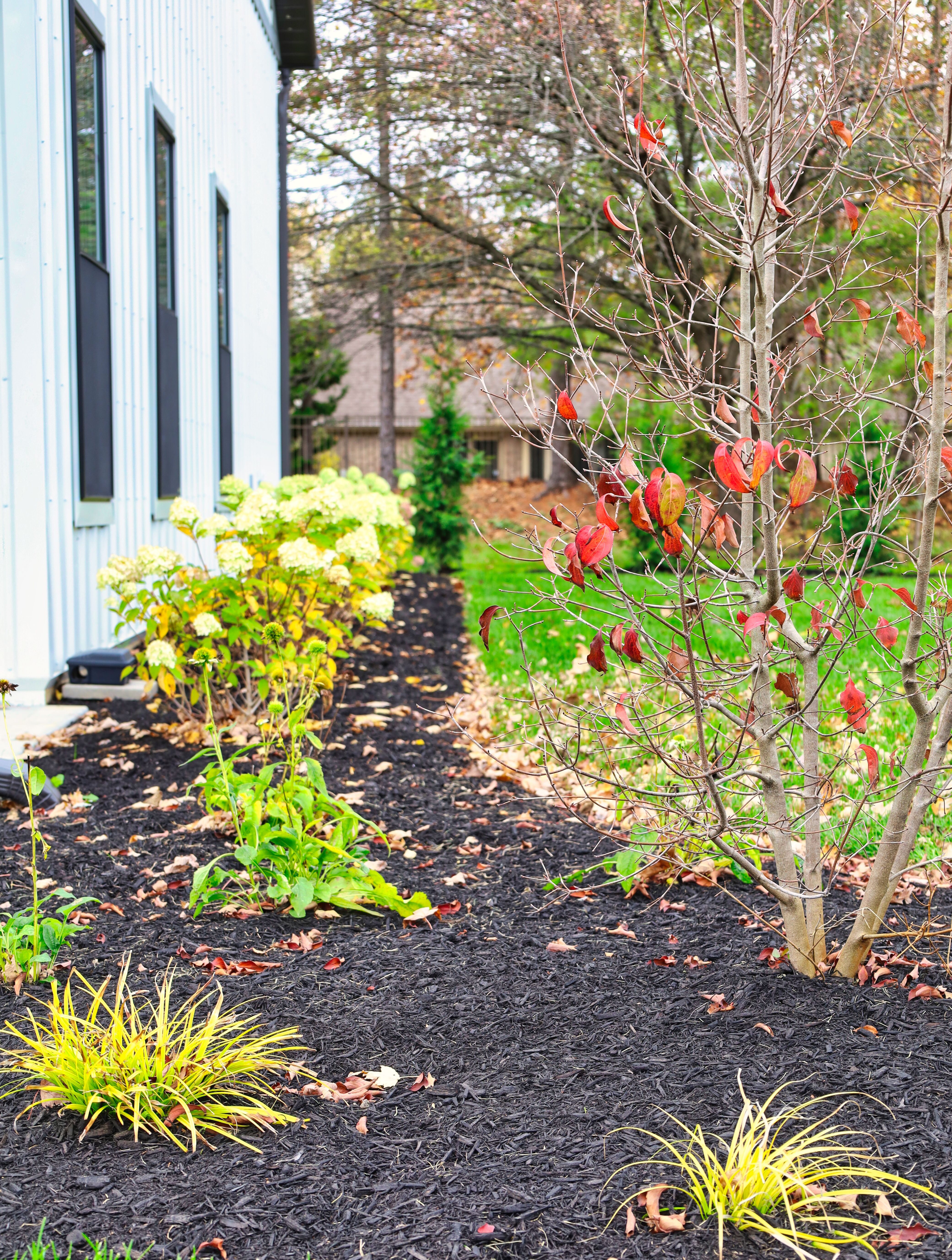 Oakwood Lawn & Landscaping Image