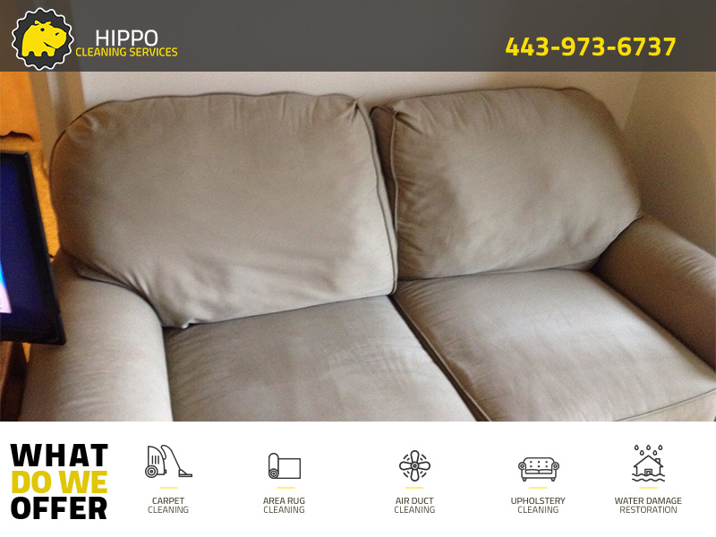 Hippo Cleaning Services Photo