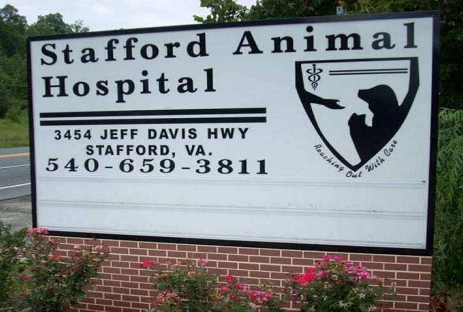 Stafford Animal Hospital Photo