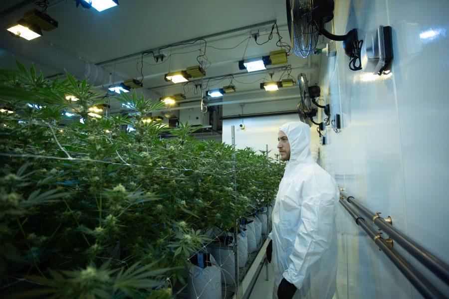 Northeast Alternatives Dispensary - Fall River Image