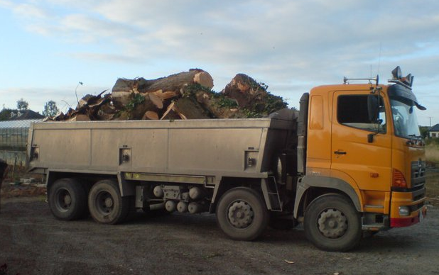 Specialised Tree Care, Forestry, Clare