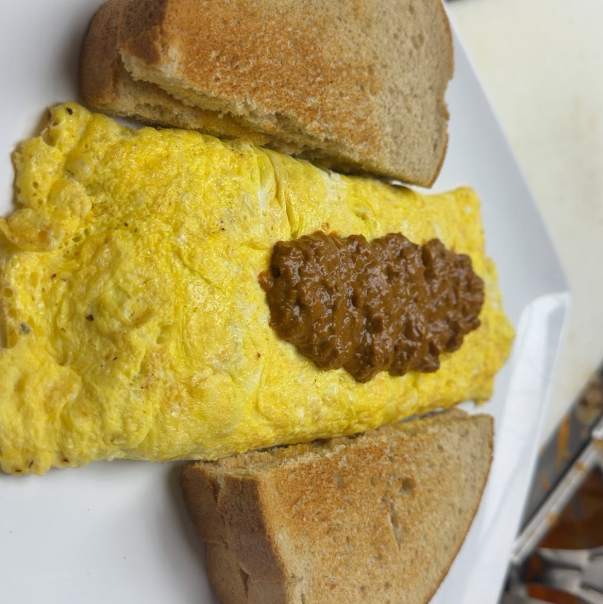 Mexican Omelette
