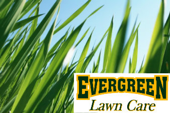 Images Evergreen Lawn Care
