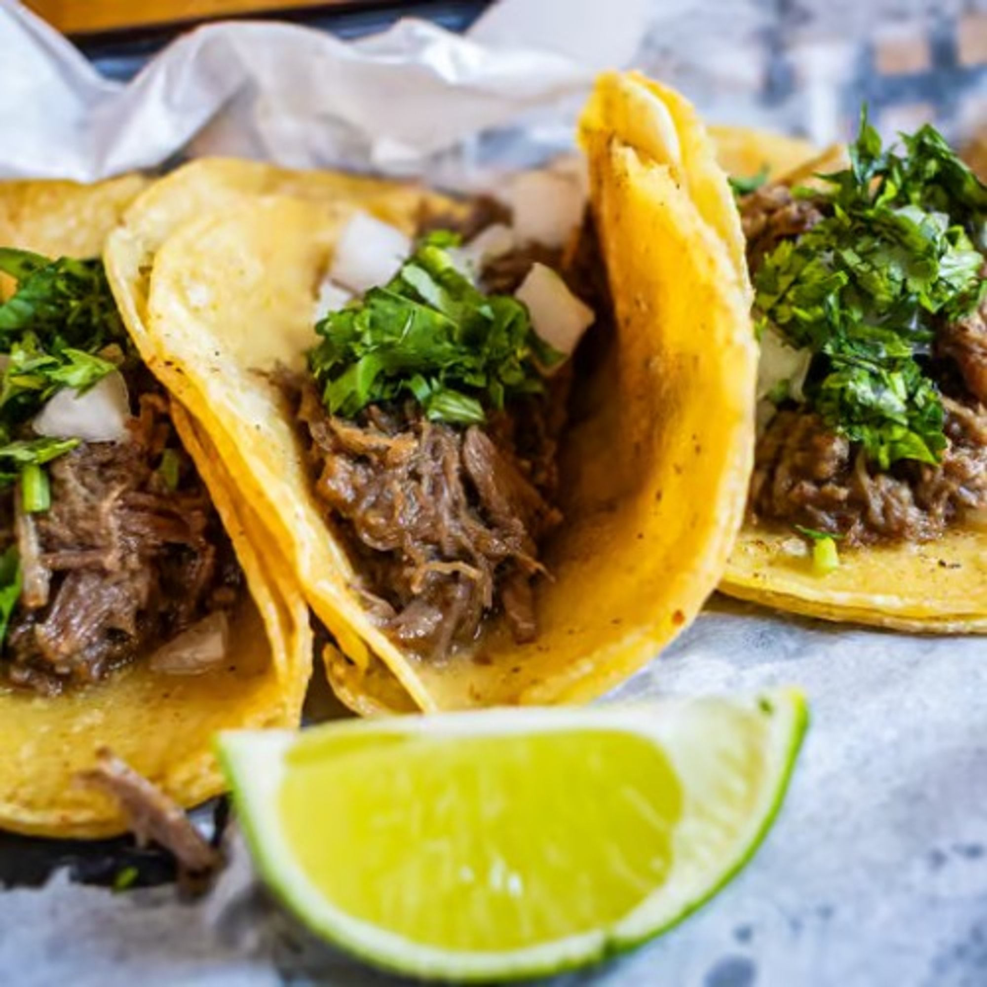 Taco Barbacoa