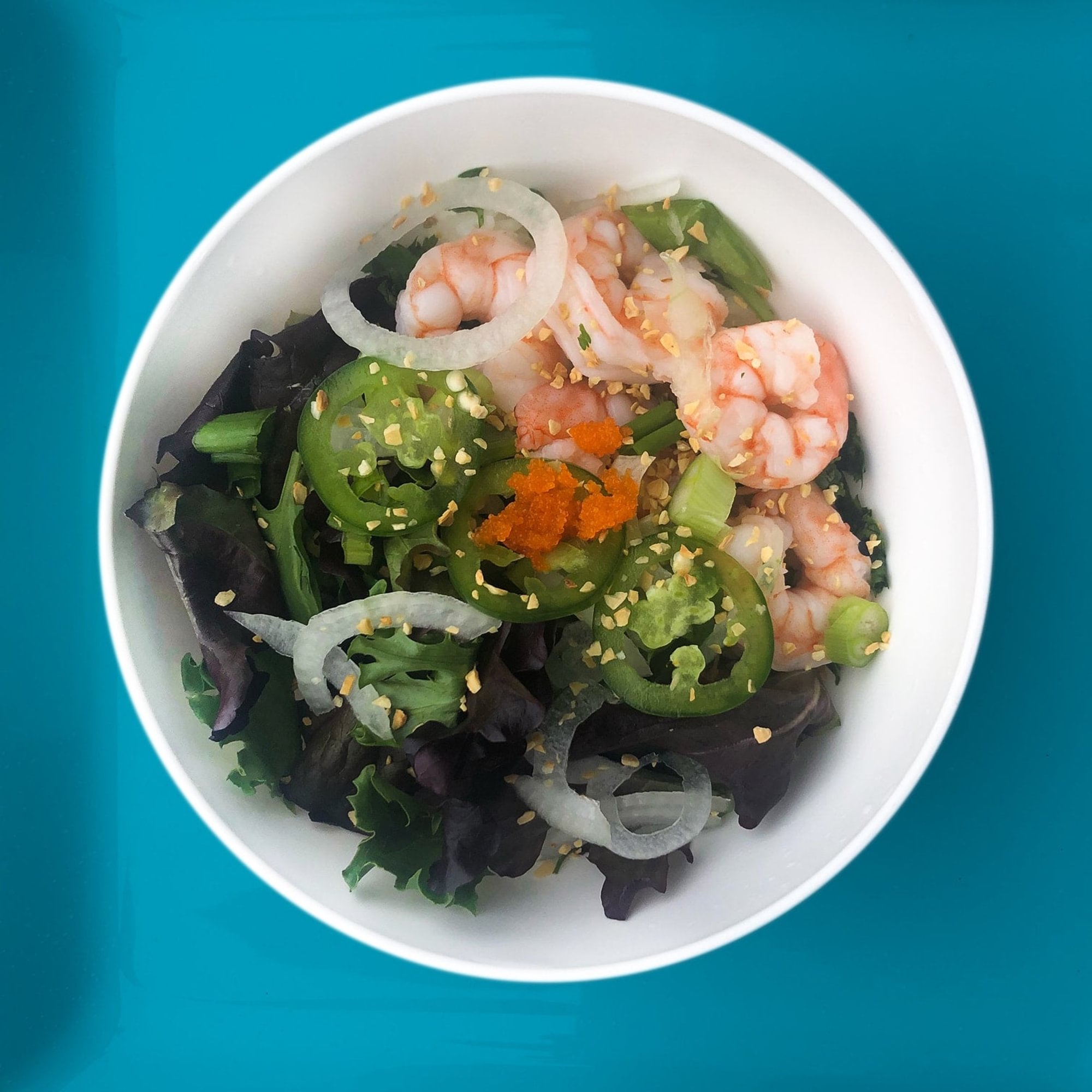 Blackpoint - Shrimp