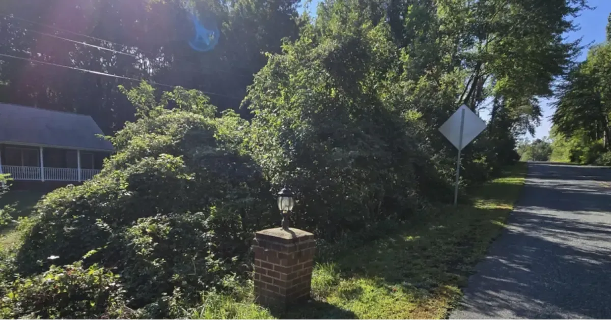 Premier Tree & Landscaping Image