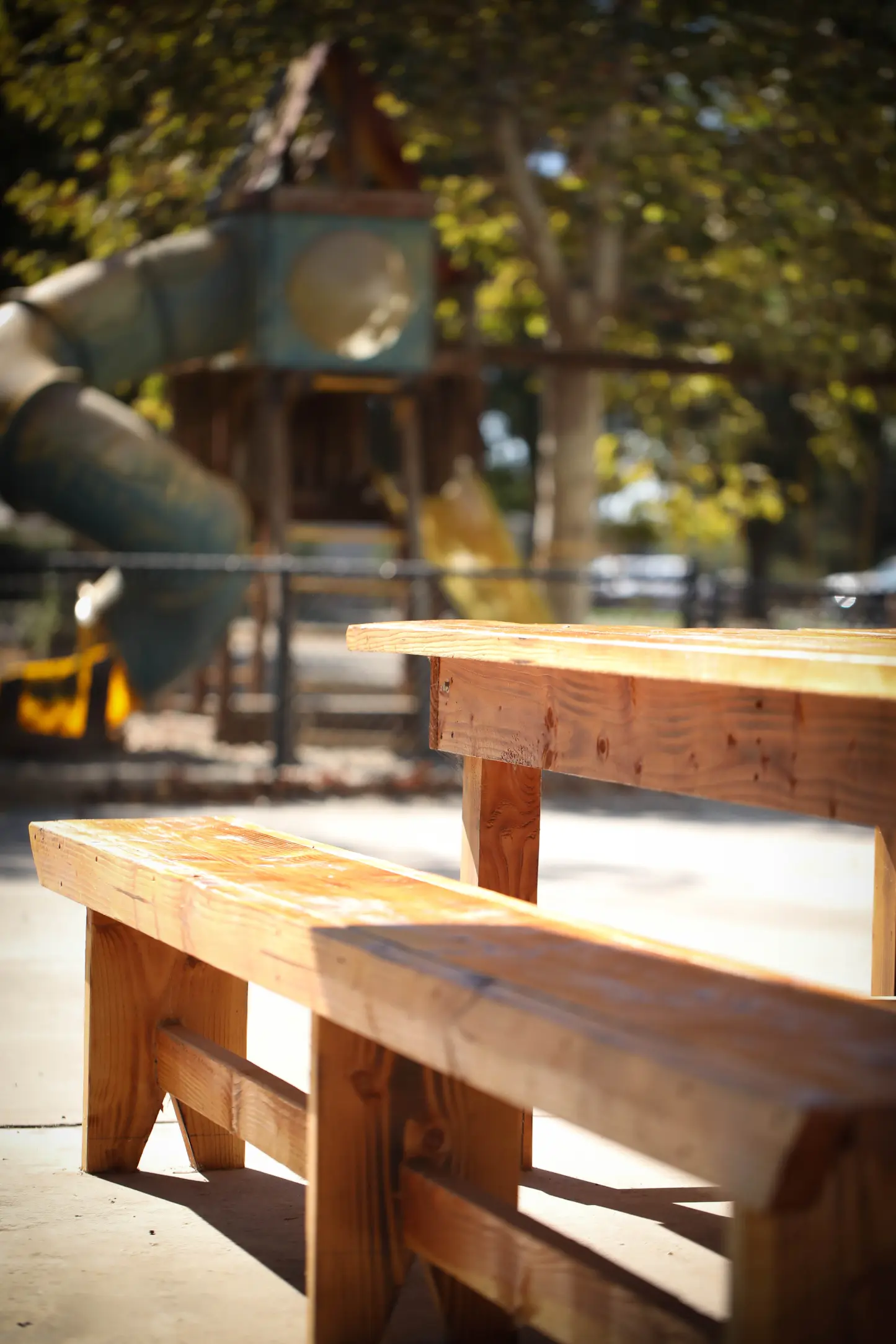 Sovereign Grace Baptist Church Image