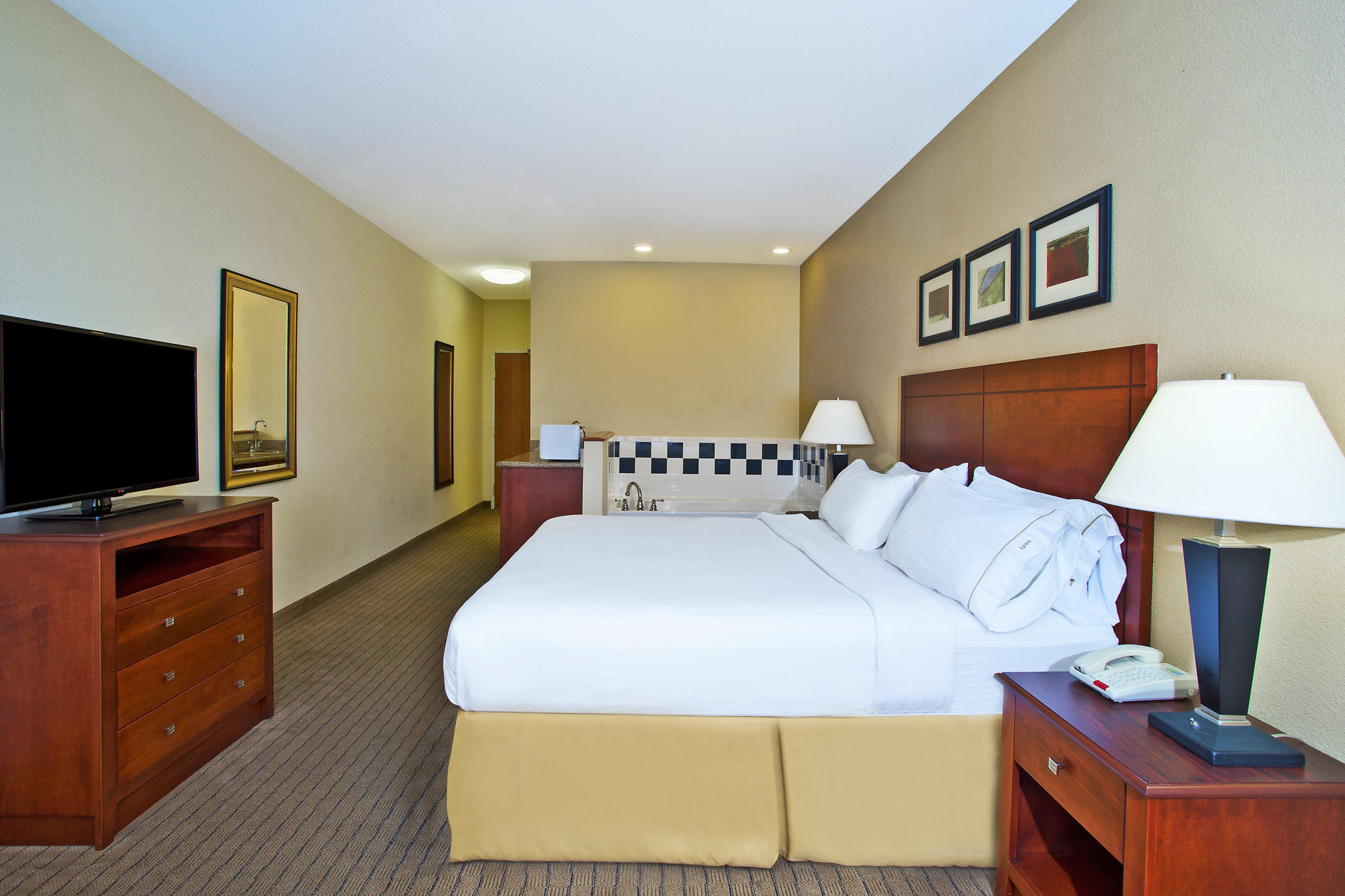 Holiday Inn Express & Suites East Lansing Photo