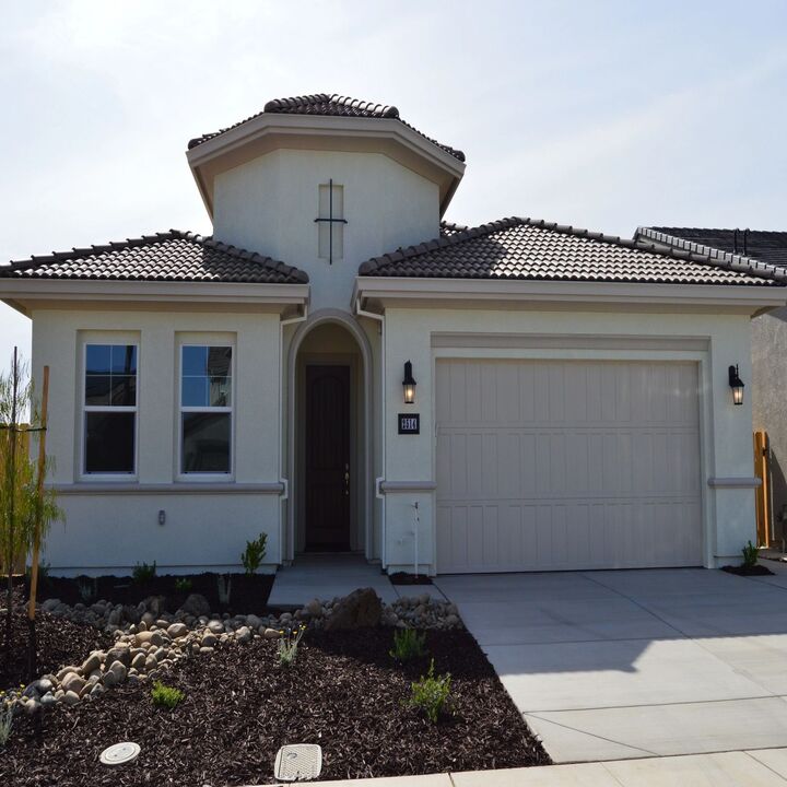 Ellison's Painting Image