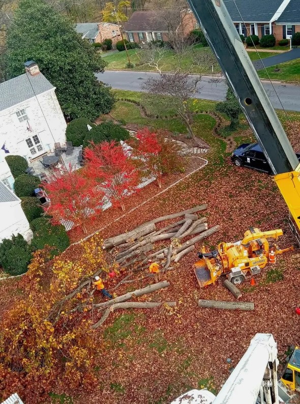 Love Mtn Treescape Services Image