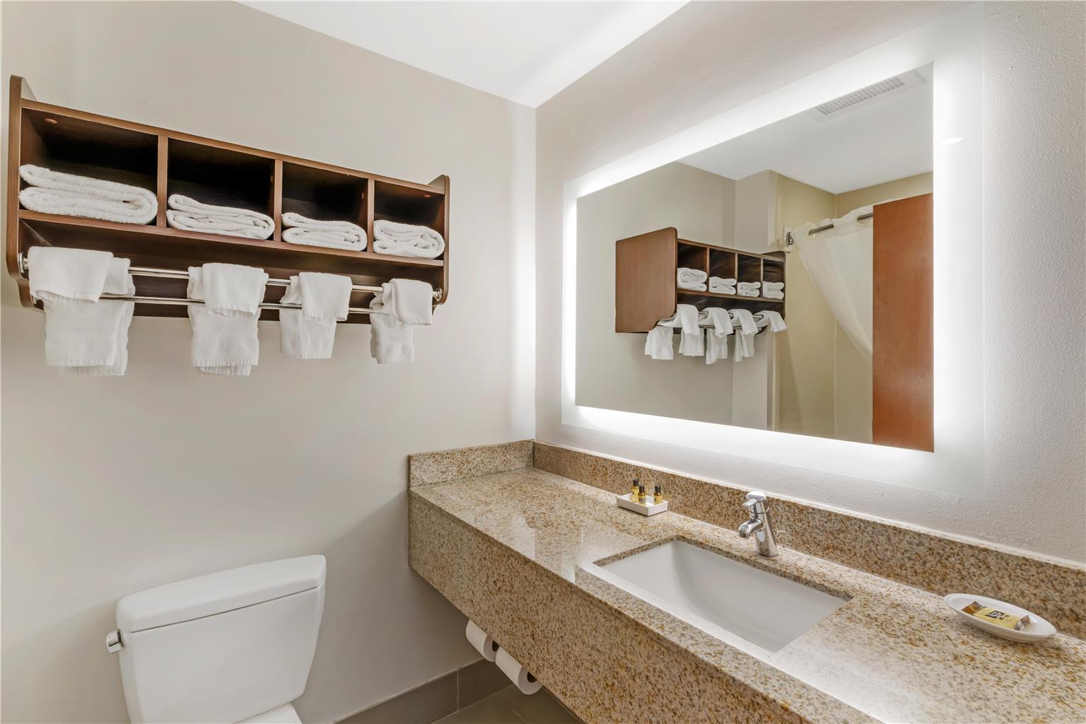 Best Western Plus McDonough Inn & Suites Image