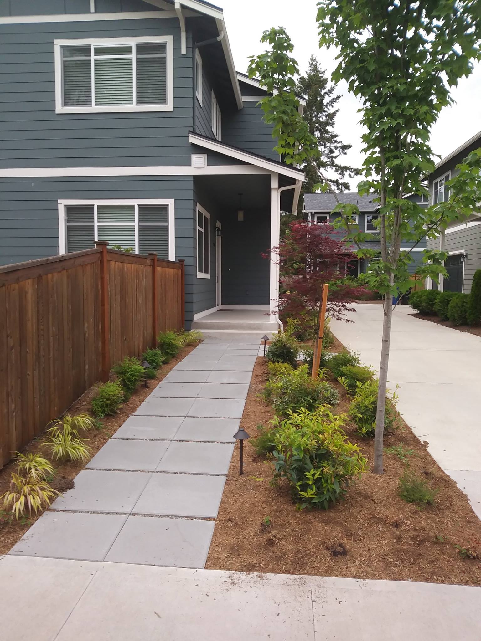 Solid Ground Landscape Image