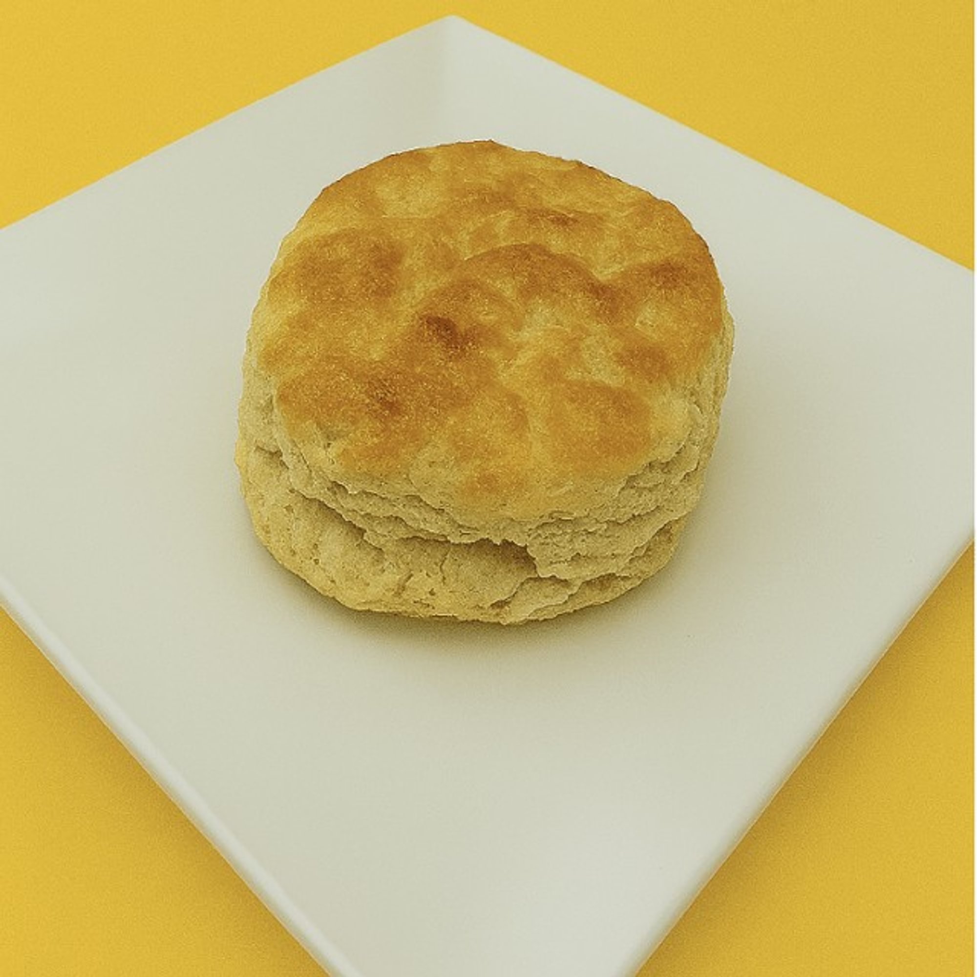 One Biscuit