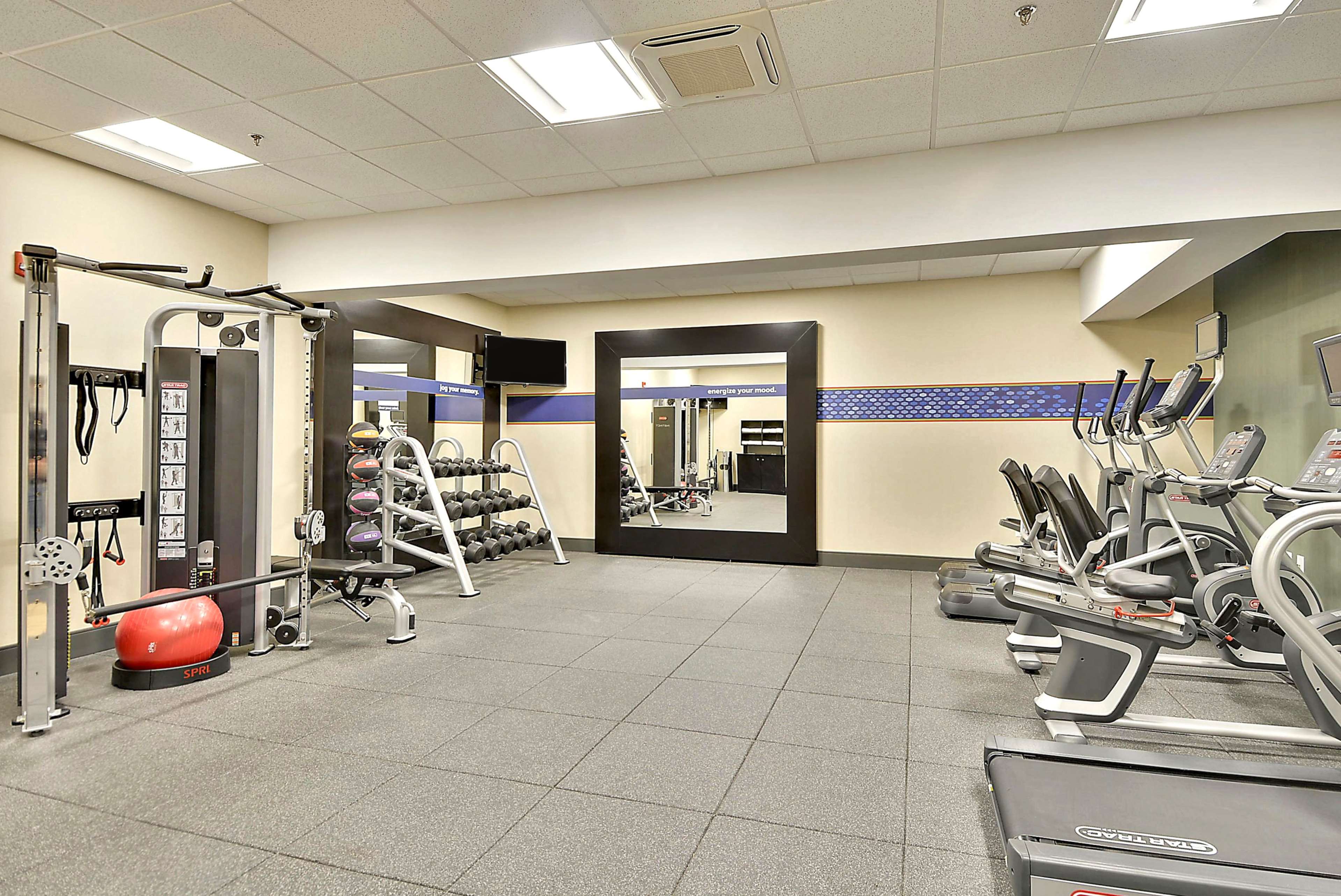 Health club  fitness center  gym