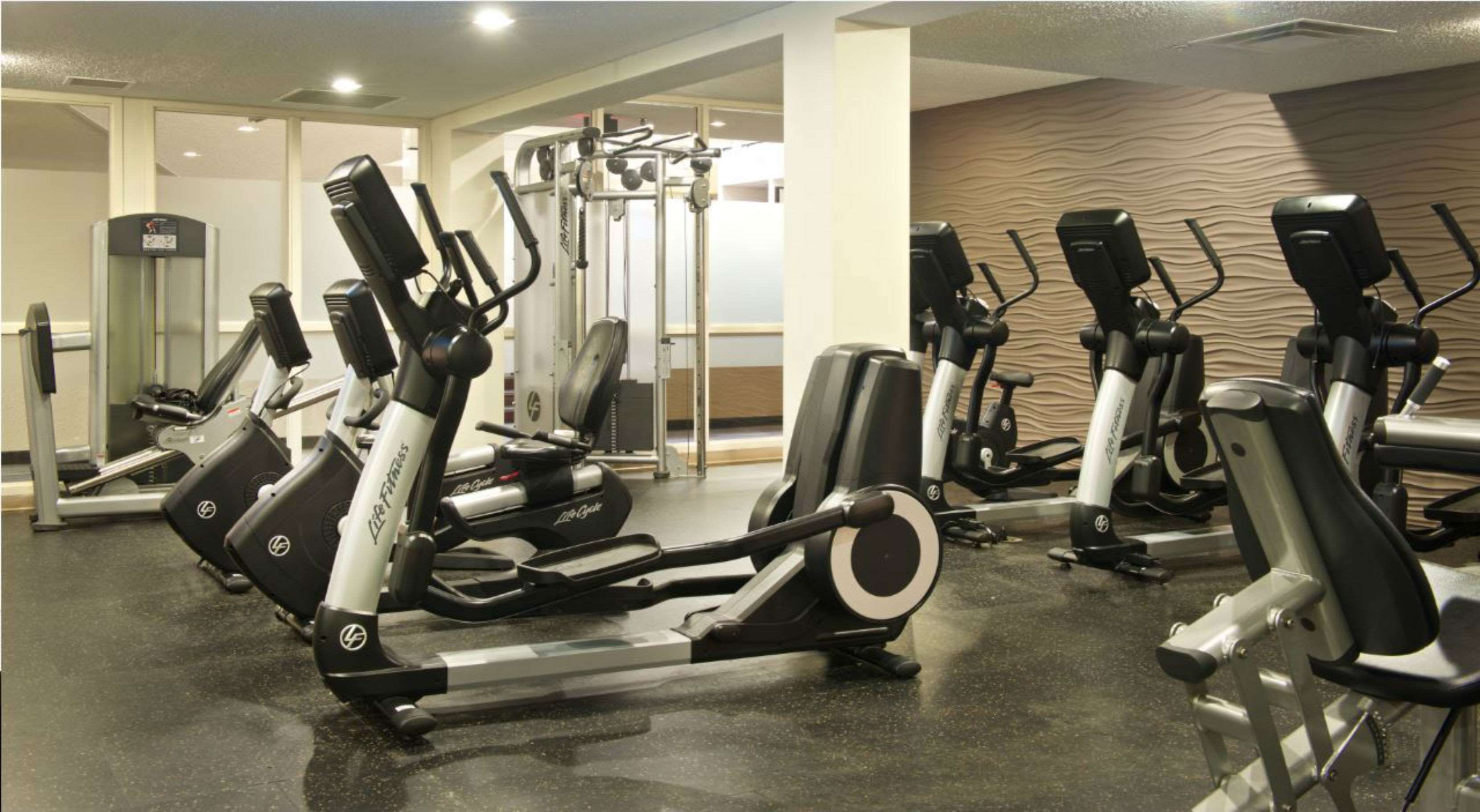 Health club  fitness center  gym