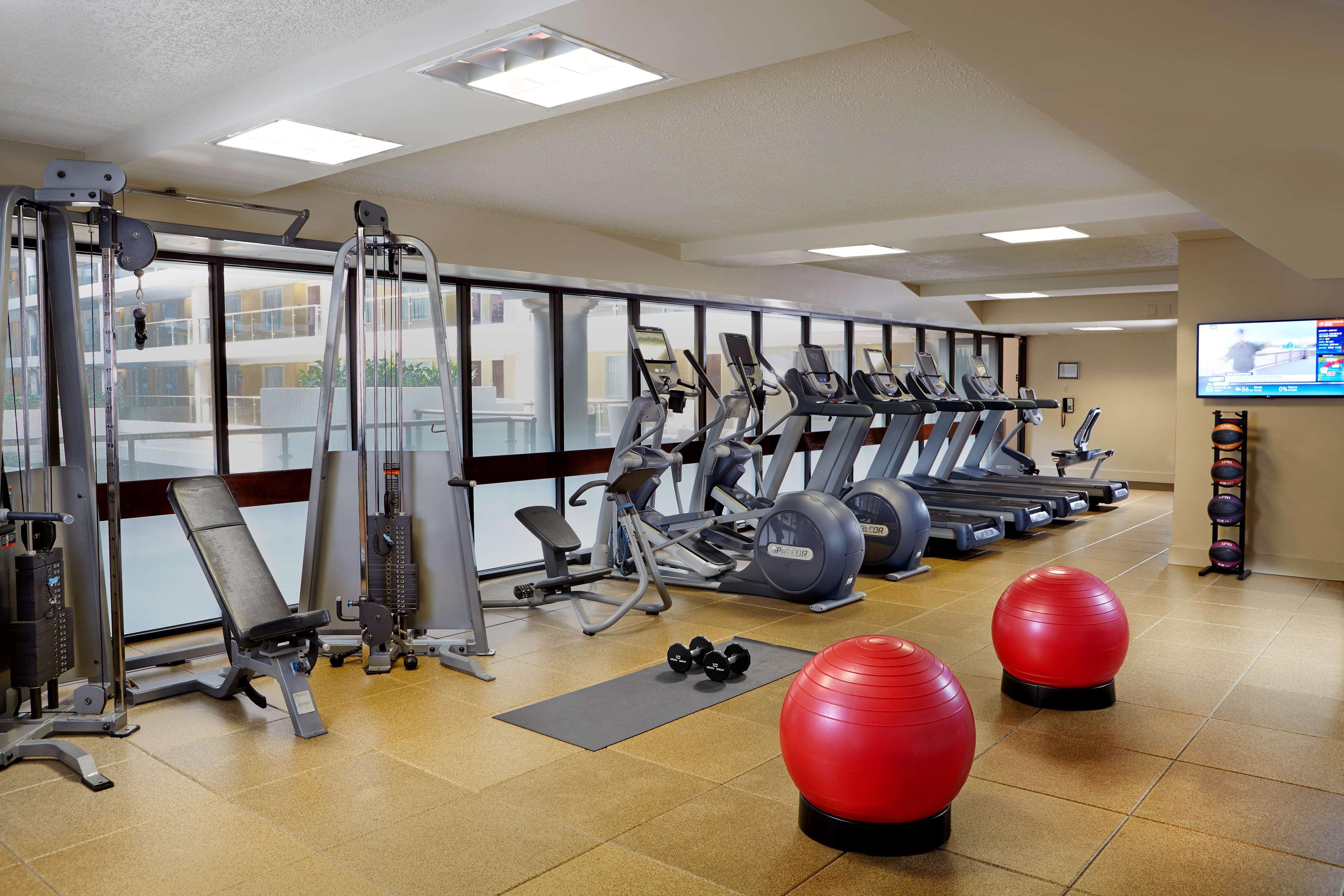 Health club  fitness center  gym
