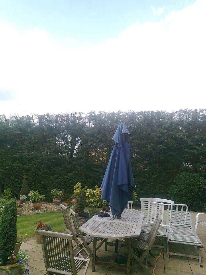 Images Tree & Garden Services