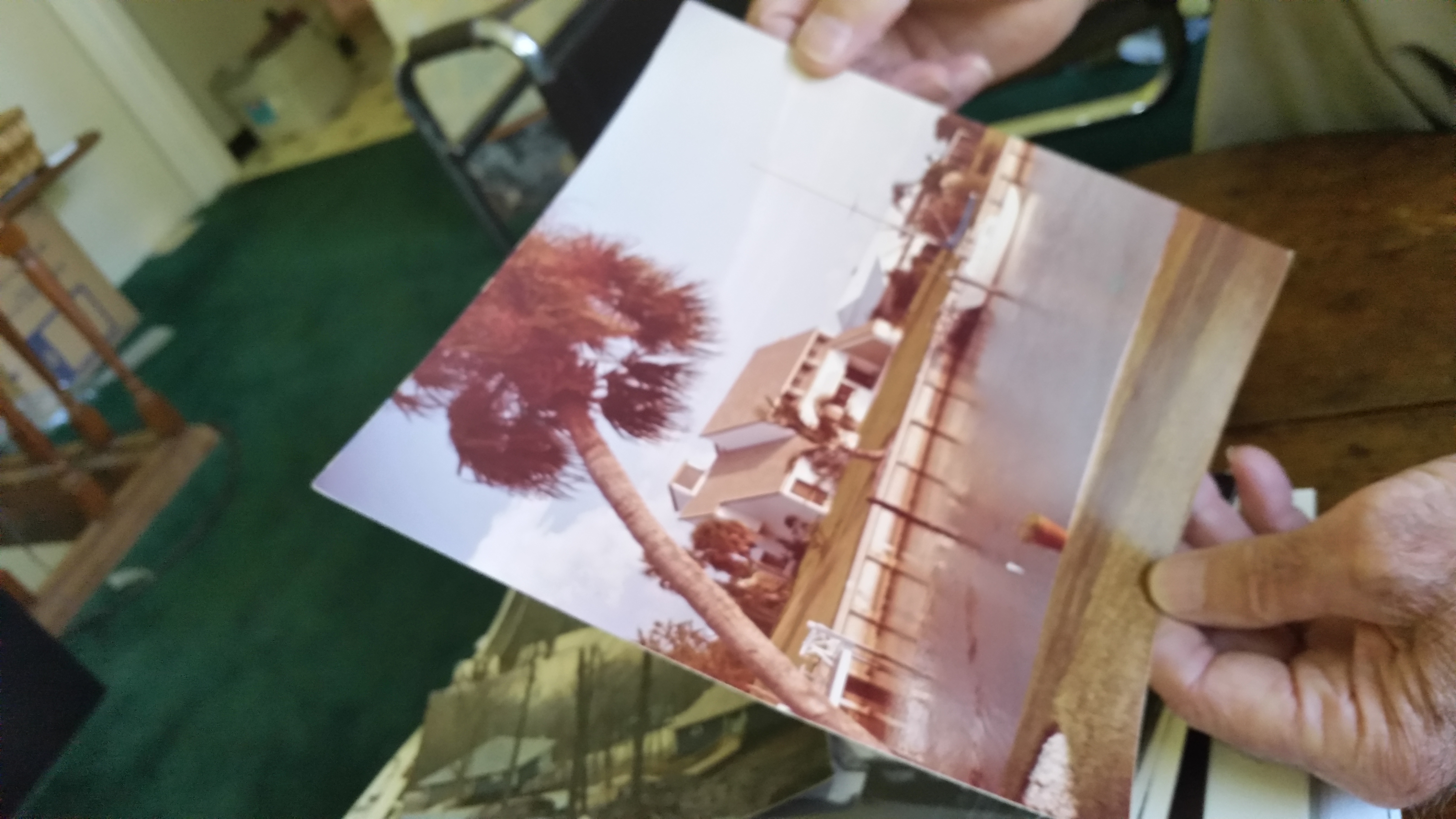 Tri-0-lithic Developers Image