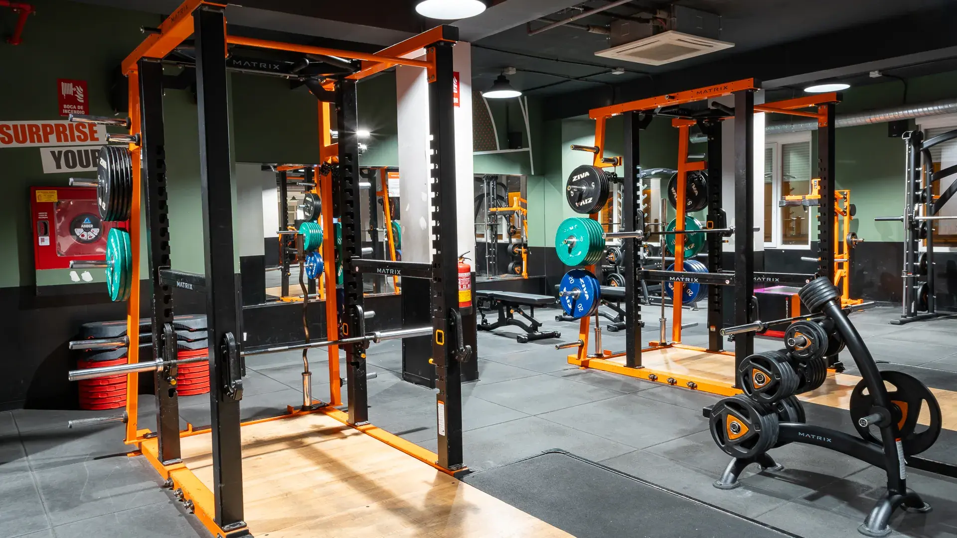 Galería en miniatura