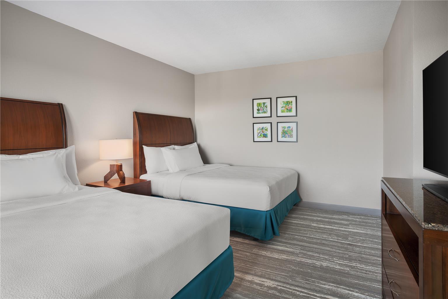 Hilton Garden Inn Tampa North Image